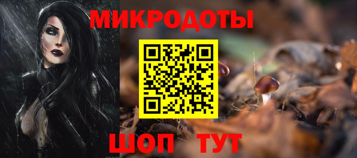 Сальск  Галлюциногенные грибы ЛСД  Псилоцибиновые грибы Psilocybine cubensis  купить наркотики цена  Вход с VPN 