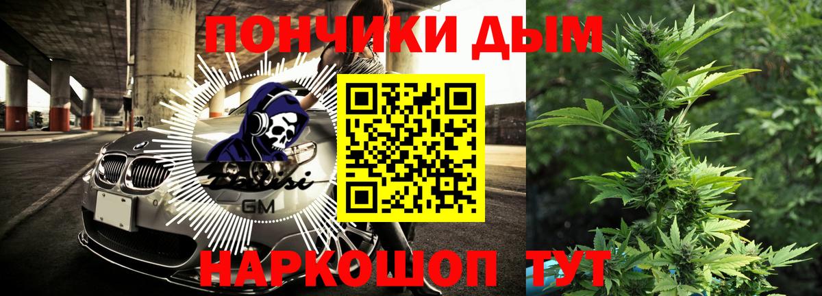 Канабис ГИДРОПОН Сальск